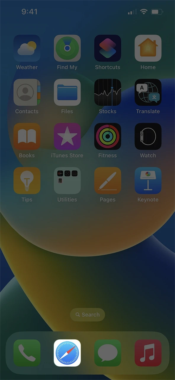 Open Safari on your iPhone or iPad to begin the 1xBet iOS setup.