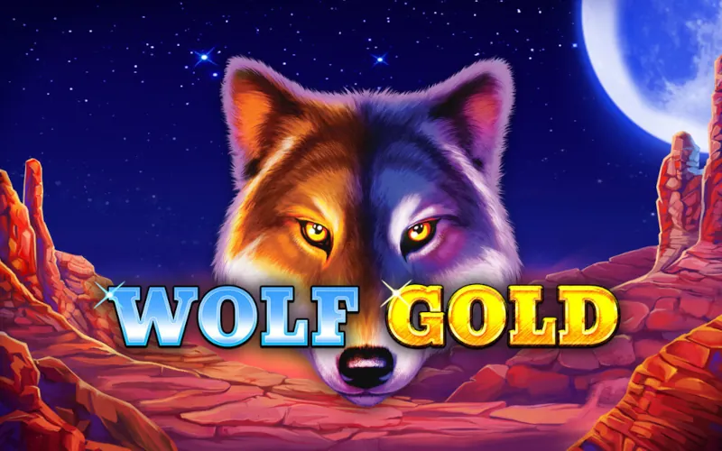 Hunt for massive jackpots under the desert moon in the Wolf Gold slot on 1xBet.